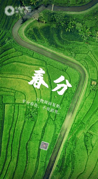 南门网 海报 二十四节气 春分 绿色 田野 道路