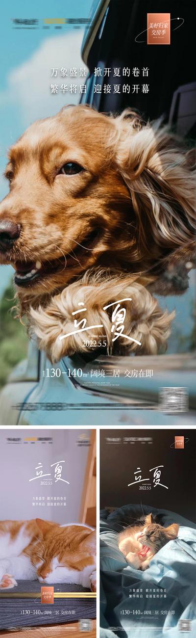 南门网 海报 房地产 二十四节气 立夏 猫 狗 系列