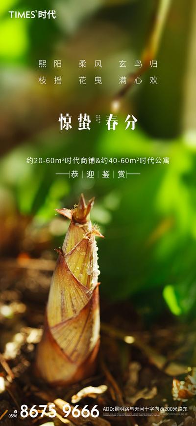 南门网 广告 海报 节日 惊蛰 春分 竹笋