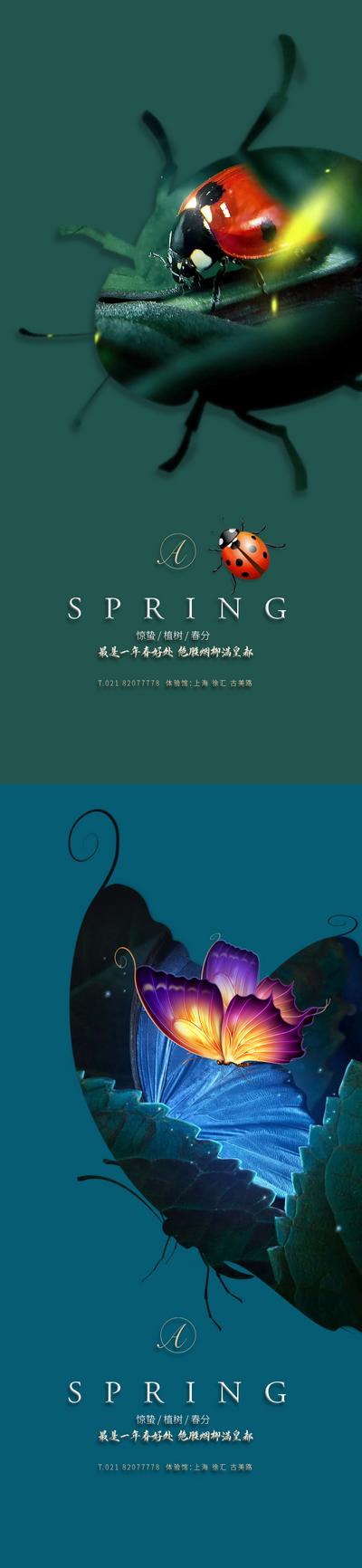 【南门网】海报 二十四节气  惊蛰 春分 昆虫 蝴蝶 春天 创意 系列