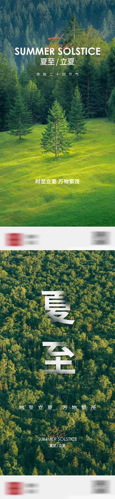 【南门网】海报 二十四节气 立夏 夏至 简约 森林 系列