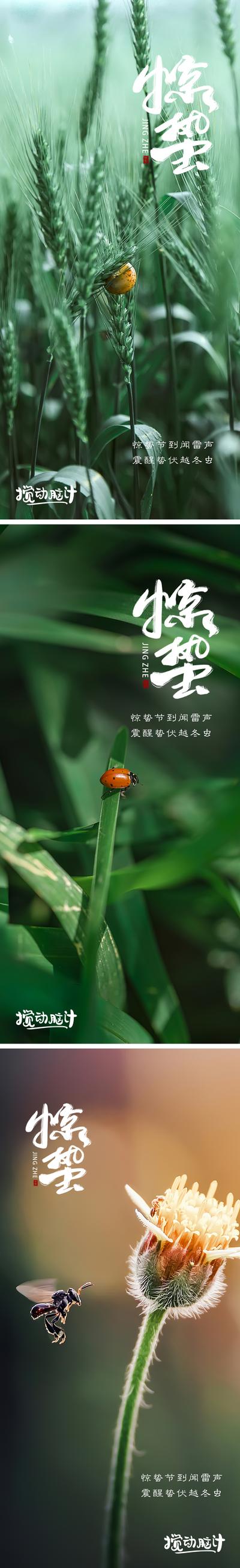【南门网】海报 二十四节气 惊蛰 春天 青草 昆虫