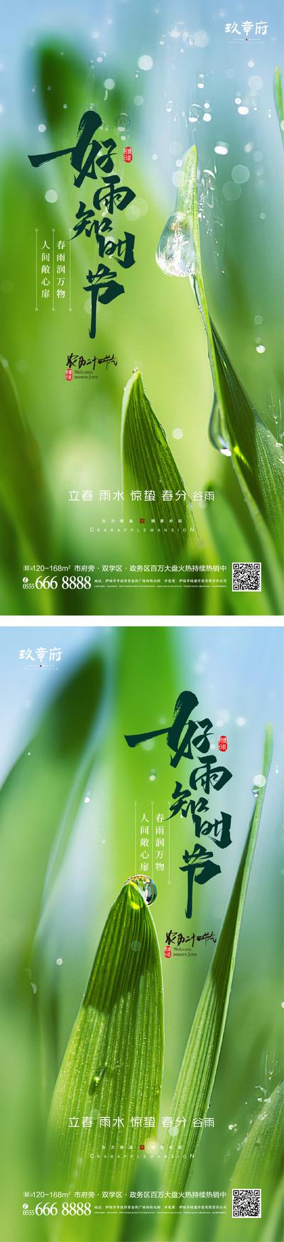 南门网 海报 二十四节气 立春 雨水 惊蛰 春分 谷雨 绿色 水珠 系列