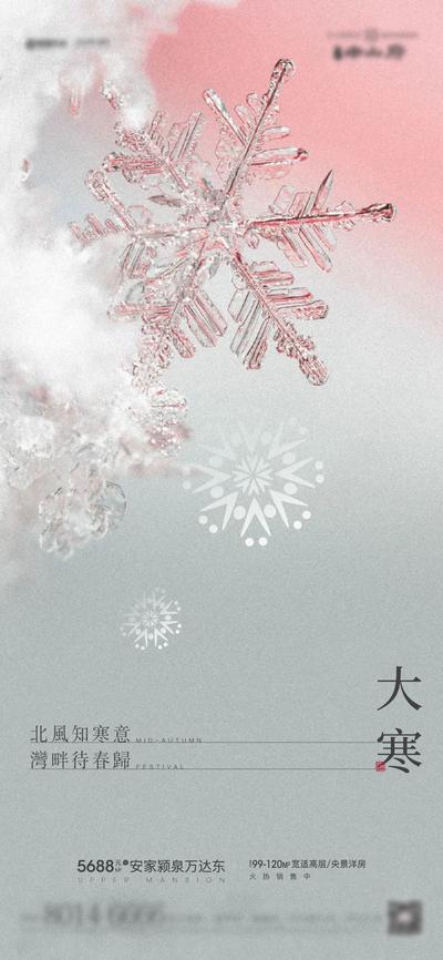 【南门网】海报 地产 二十四节气 大寒 调性 大雪 小雪 雪花