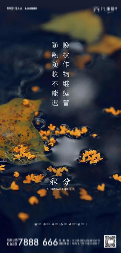 南门网 海报 房地产 二十四节气 秋分 意境 简洁 落叶