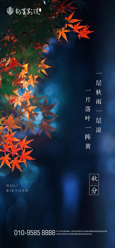 南门网 海报 二十四节气 秋分 枫叶