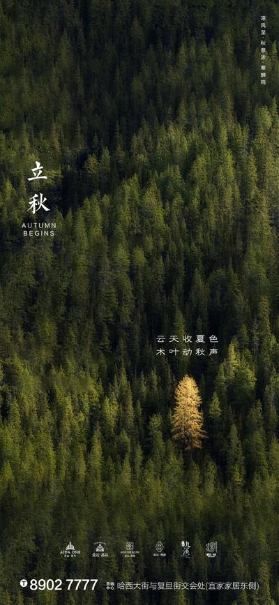 南门网 海报 房地产 二十四节气 立秋 简约 森林