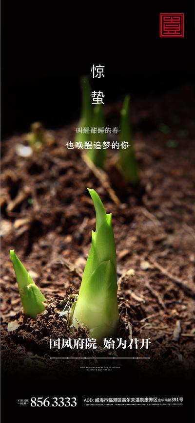【南门网】海报 二十四节气  惊蛰  竹笋  泥土