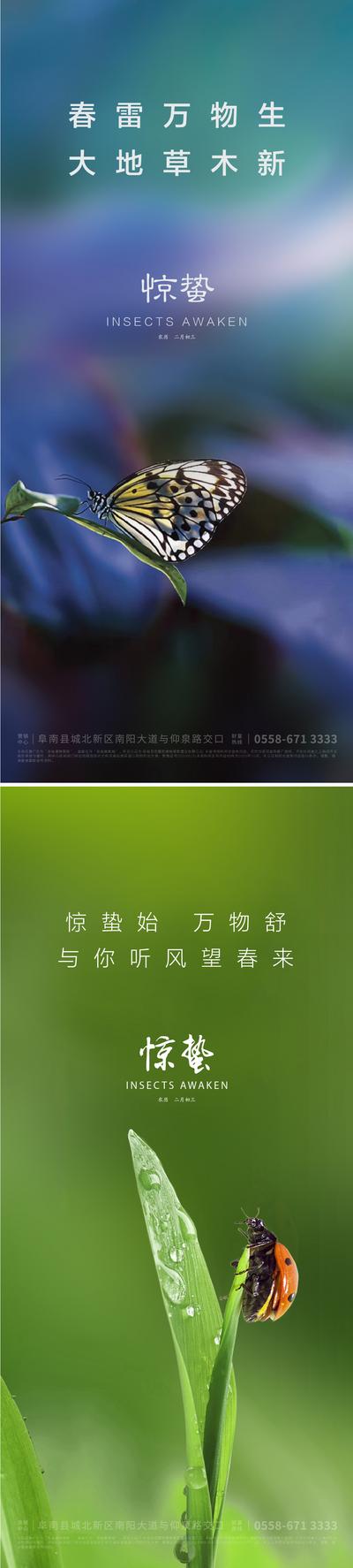 南门网 海报 二十四节气 房地产 惊蛰 蝴蝶 七星瓢虫 水滴 系列