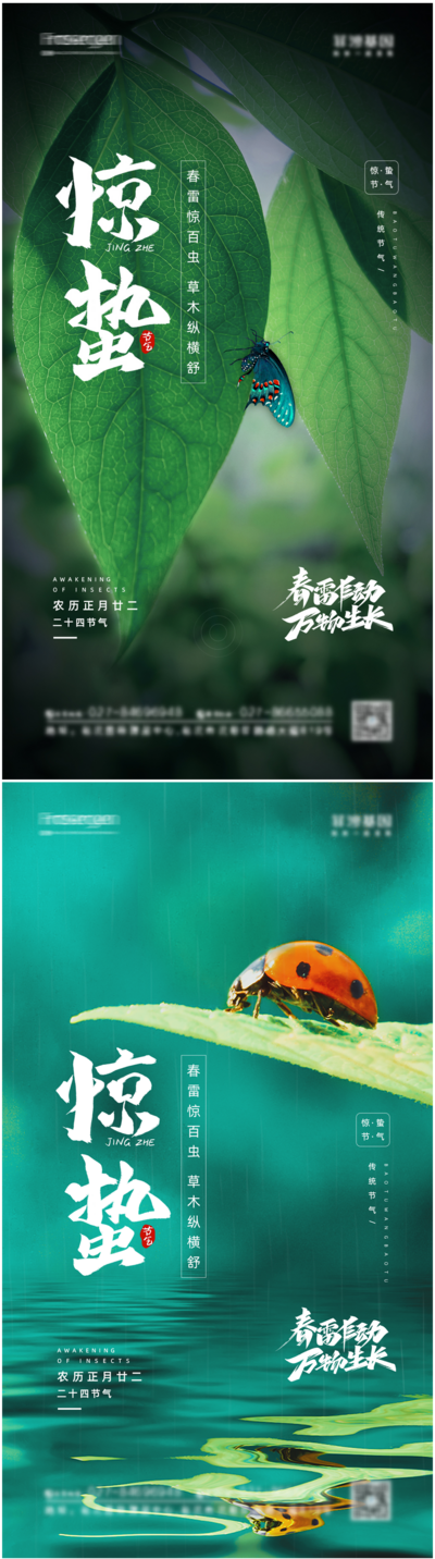 【南门网】海报 二十四节气 惊蛰 瓢虫 蝴蝶 系列 水波纹 树叶