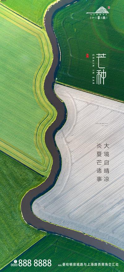 南门网 海报 房地产 二十四节气 芒种 小清新 稻田