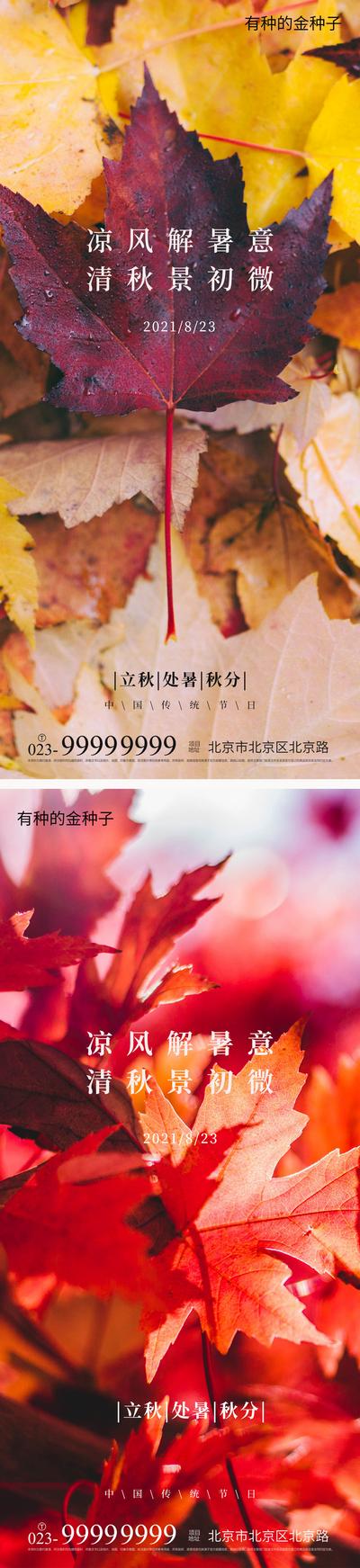 南门网 海报 二十四节气 立秋 秋分 处暑 枫叶