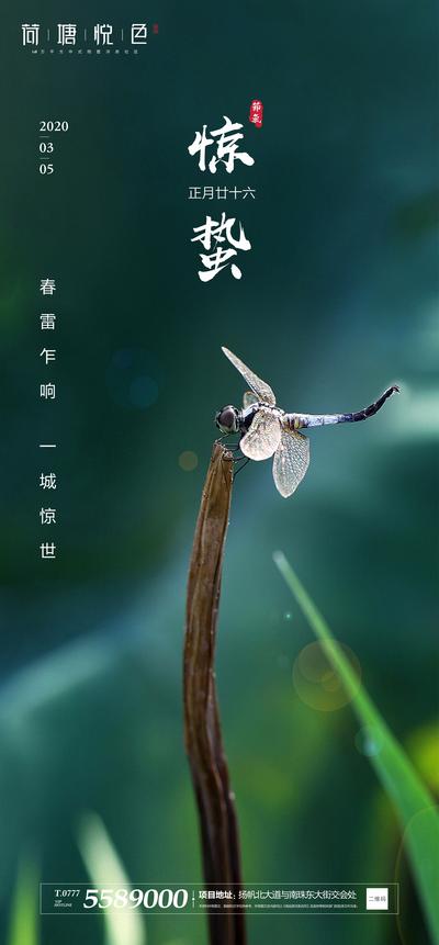 南门网 海报 房地产 二十四节气 惊蛰 蜻蜓 