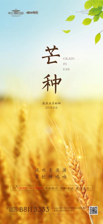 南门网 海报 房地产 二十四节气 芒种 麦浪 金黄 麦子
