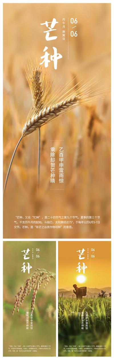 南门网 海报 二十四节气 芒种 简约 麦穗 系列