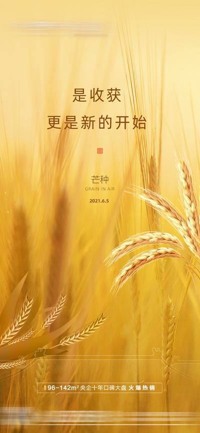 【南门网】海报 房地产 二十四节气 芒种 简约 麦穗
