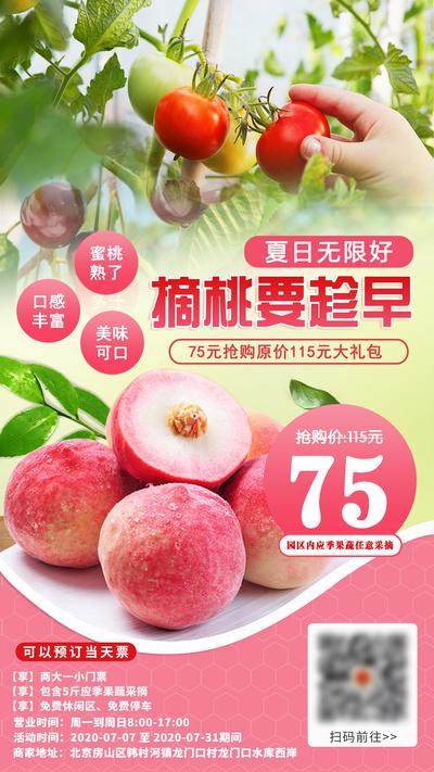 【南门网】海报 桃子 水蜜桃 西红柿 采摘
