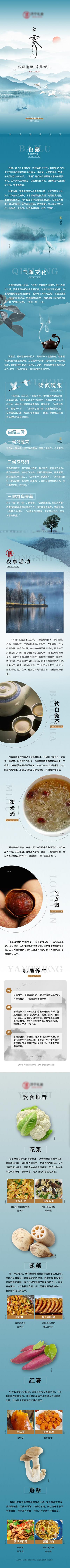 南门网 专题设计 长图 二十四节气 白露 食物 养生 习俗 山水 意境 白鹭 中式