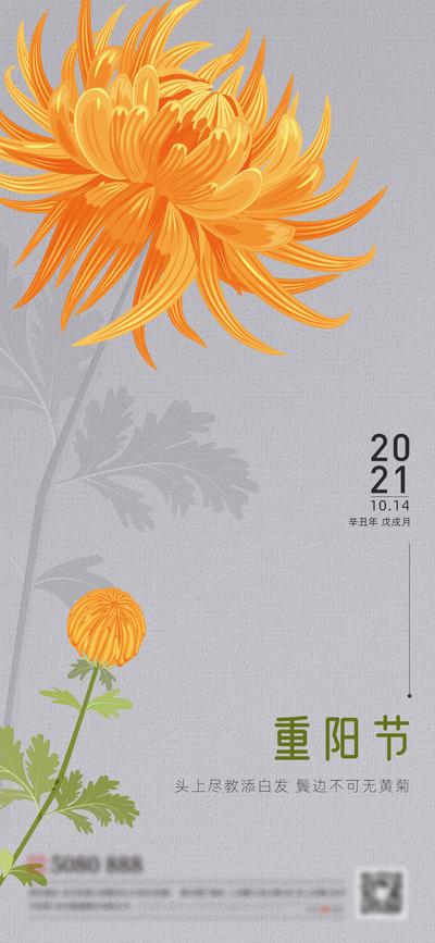 【南门网】海报 中国传统节日 重阳节 感恩 父母 菊花 手绘 插画 创意