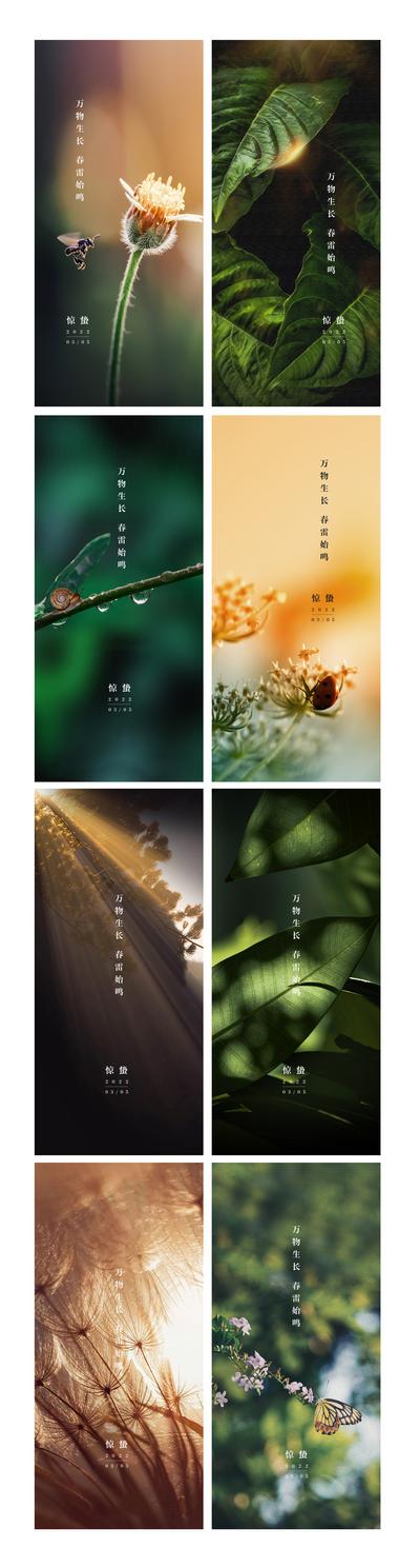 【南门网】海报 二十四节气 惊蛰 光芒 昆虫 瓢虫 蜗牛 水滴 树叶 系列