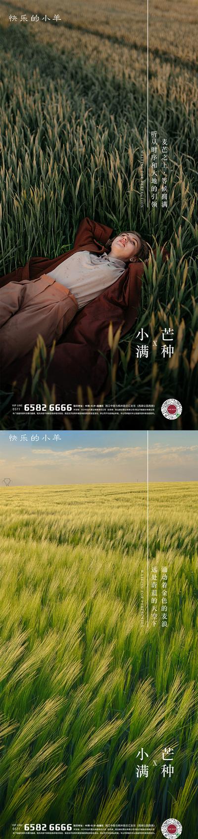 南门网 海报 房地产 二十四节气 小满 芒种 麦子