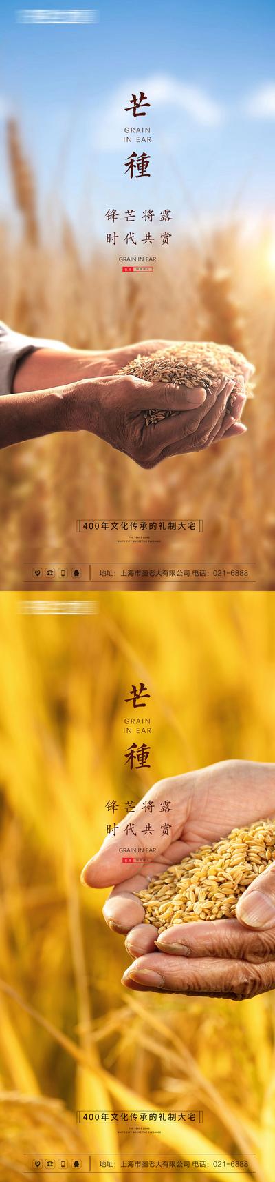 南门网 海报 房地产 二十四节气 芒种 简约 麦穗 系列