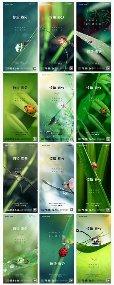 南门网 海报 二十四节气 惊蛰 春分 春天 昆虫 草