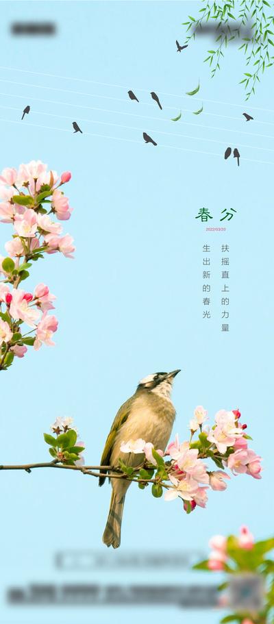 南门网 海报 二十四节气 春分 简约 风景 鸟