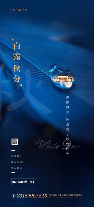 南门网 海报 房地产 二十四节气 白露 秋分 露珠 水珠 蓝色 大气