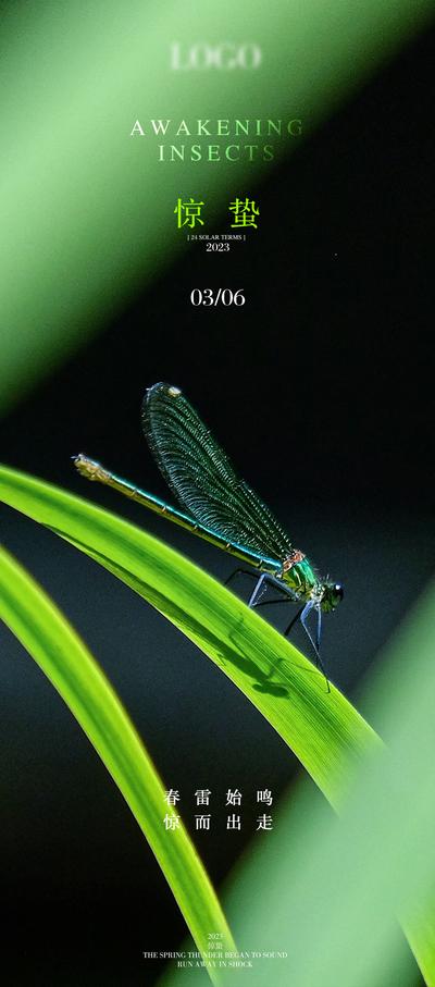 南门网 海报 地产 二十四节气 惊蛰 蜻蜓 夏天 昆虫 简约