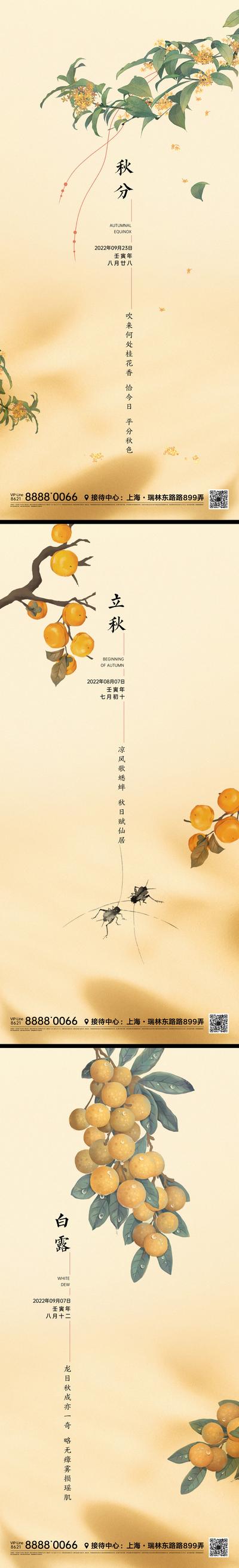 南门网 海报 二十四节气 立秋 秋分 白露 插画 简约 桂花 柿子 树枝