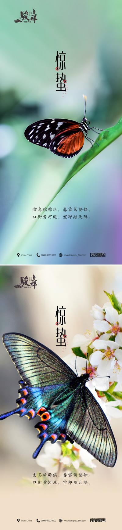 南门网 海报 二十四节气 房地产 惊蛰 蝴蝶 梨花 春天 系列