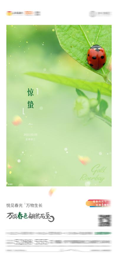 【南门网】海报 地产 二十四节气  惊蛰  绿色 昆虫 叶子