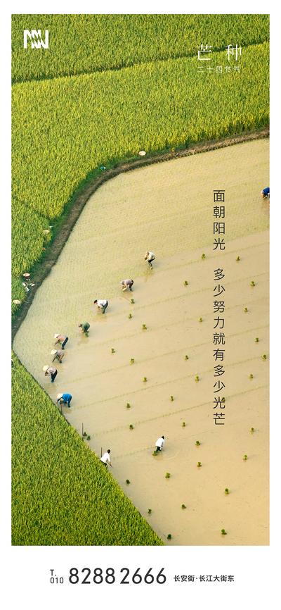 【南门网】海报 房地产 二十四节气 芒种 播种 麦田
