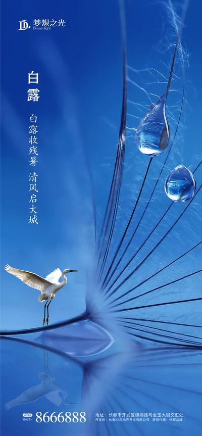 南门网 海报 二十四节气 白露 蓝色 白鹭 荷叶 雨滴 创意