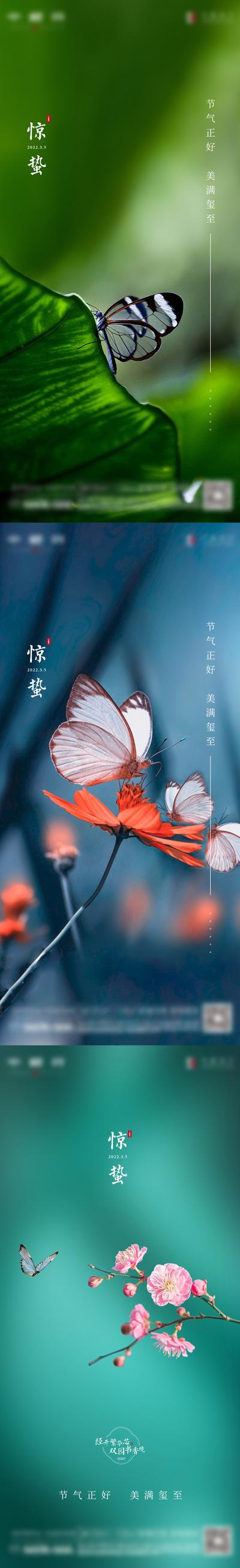 南门网 海报 地产 二十四节气  惊蛰 立春   品质  蝴蝶 蜻蜓