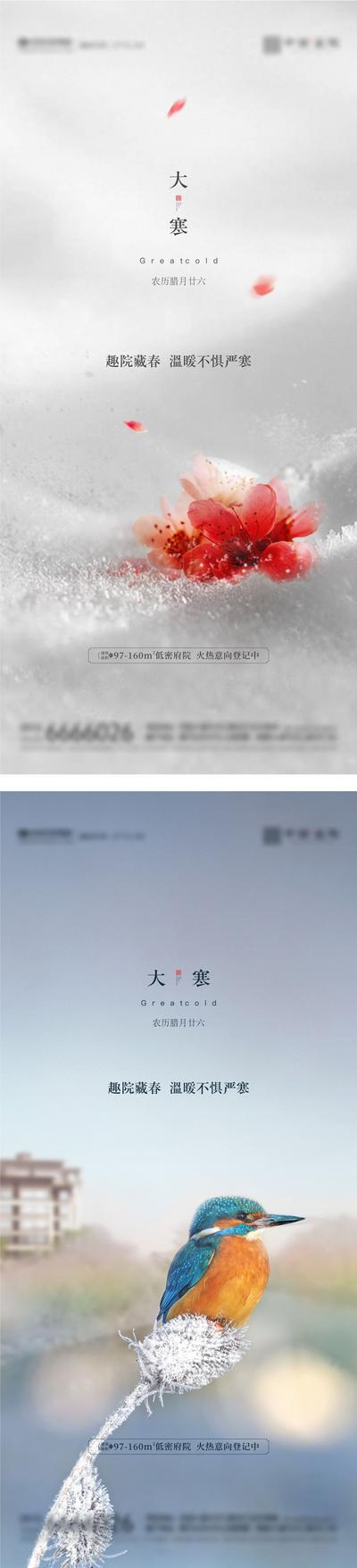 南门网 海报 二十四节气 房地产 大寒 冰雪 翠鸟 系列