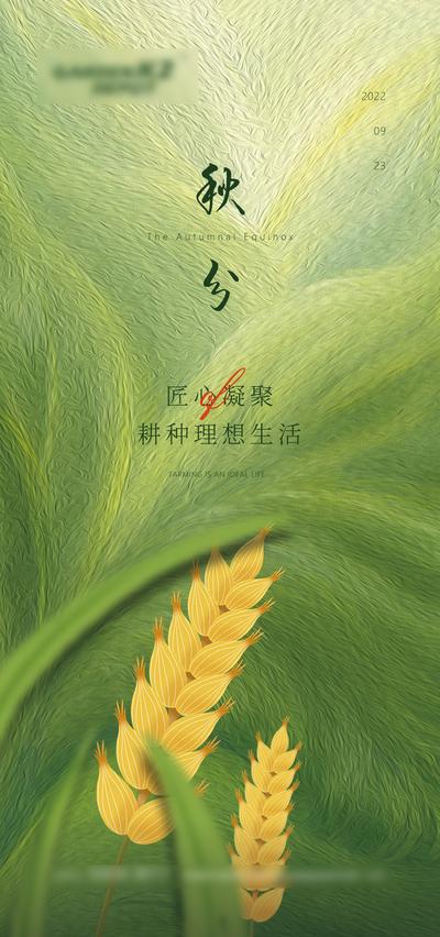 【南门网】海报  二十四节气  秋分 麦穗  手绘 