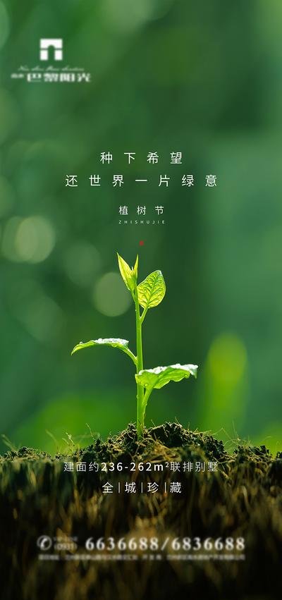 南门网 广告 海报 节日 植树节 清新