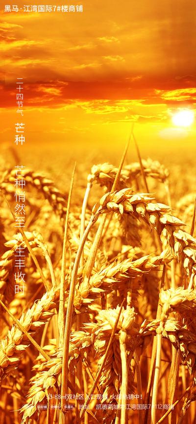 南门网 海报 地产 二十四节气 芒种 家装 麦穗 创意