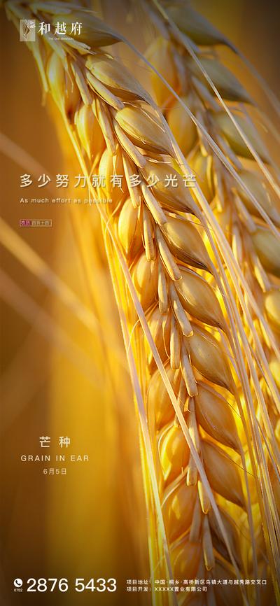 南门网 海报 房地产 二十四节气 芒种 简约 麦子