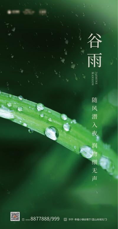 【南门网】海报 谷雨 二十四节气 雨水 绿叶 露珠