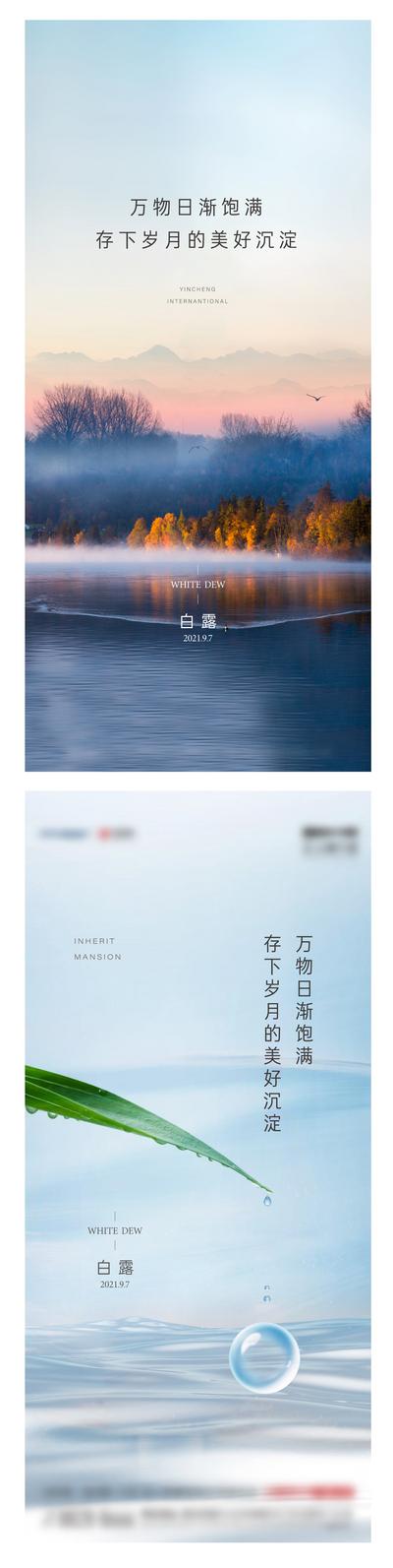 【南门网】海报 二十四节气 白露 露珠 白鹭 系列