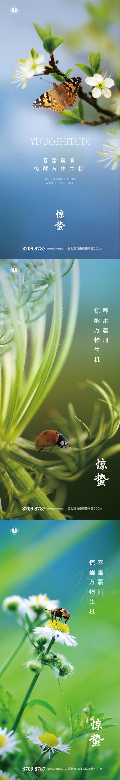 南门网 海报 惊蛰 二十四节气 瓢虫 蝴蝶 系列