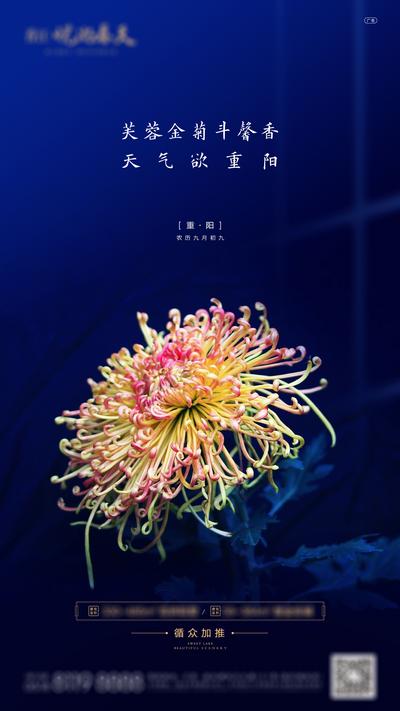 南门网 海报 房地产 中国传统节日 重阳节 菊花 蓝色 价值点