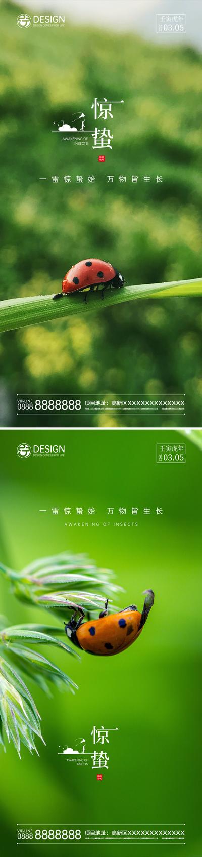 【南门网】海报 二十四节气 惊蛰 瓢虫 植物 生机 绿色