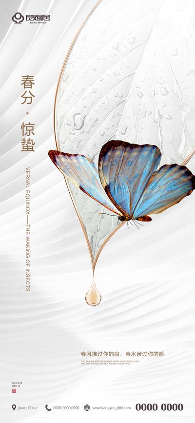 南门网 海报 二十四节气 春分 惊蛰 蝴蝶 树叶