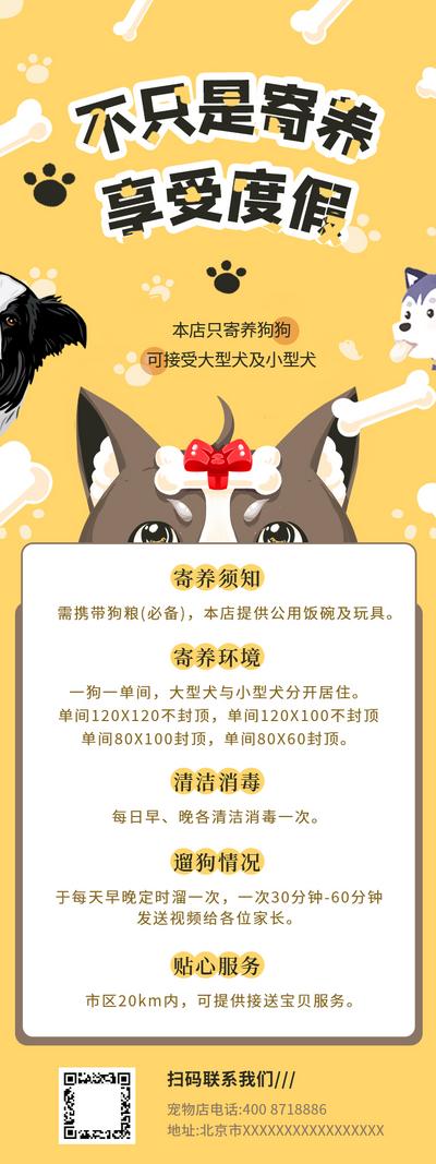 【南门网】海报 长图 猫咪 宠物 喂养 指南 缤纷 插画