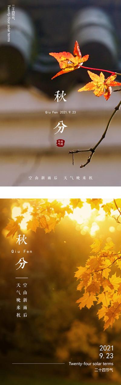 南门网 海报 二十四节气 秋分 枫叶 系列