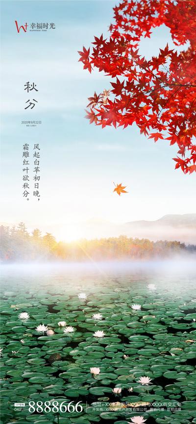 南门网 海报 二十四节气 秋分 秋天 树枝 枫叶 荷叶